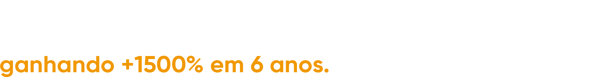 Revelado pela primeira vez as 21 regras que fizeram Bruno Nunes virar o jogo e ser consistênte no mercado, ganhando +1500% em 6 anos.